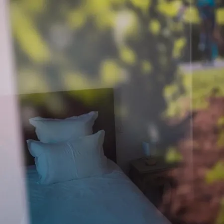 Cèdreblanc Saint-Émilion