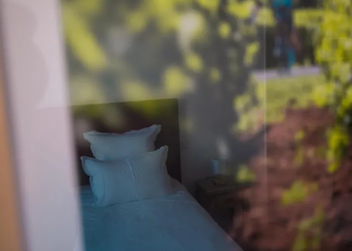 Cedreblanc Σεντ Εμιλιόν